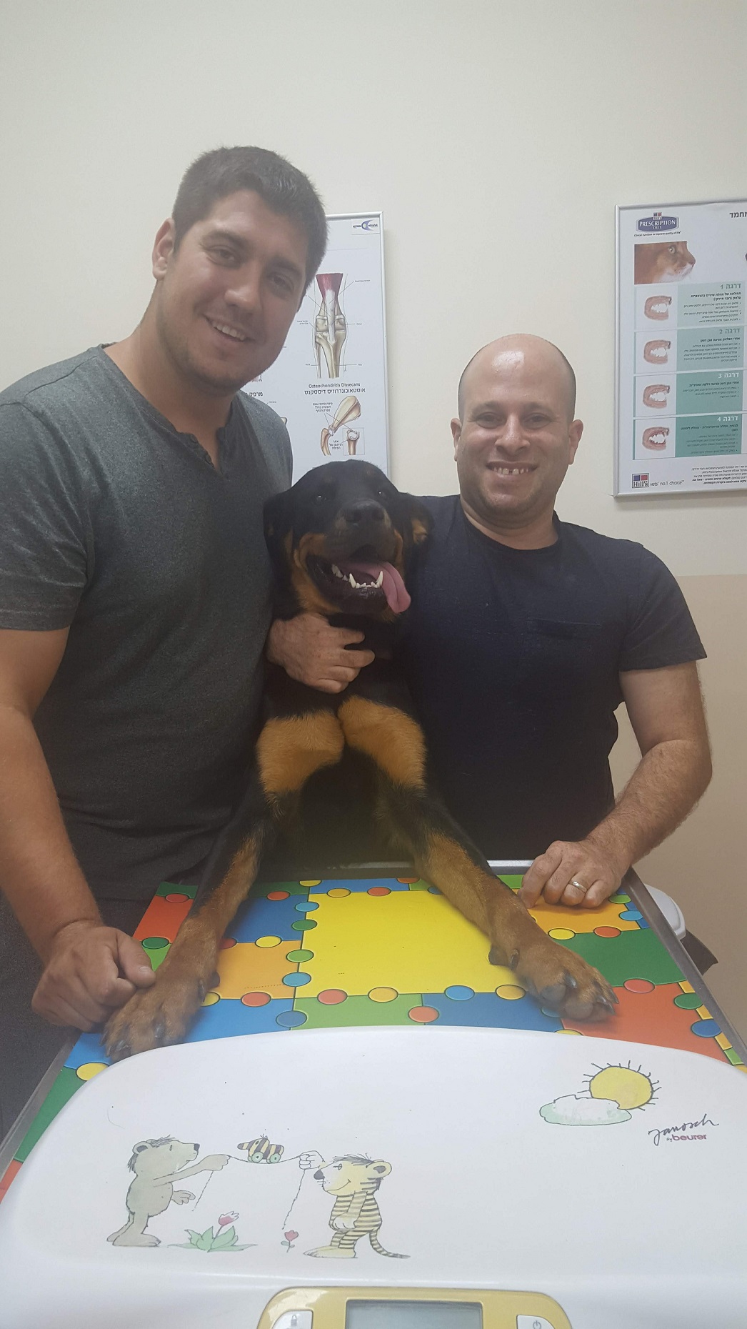 איתי שטרן - וטרינר בחדרה